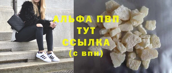 таблы Новозыбков
