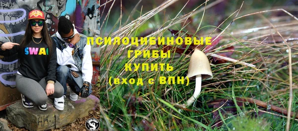 a pvp Новокубанск