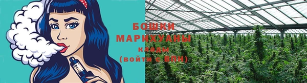 стафф Нефтекумск