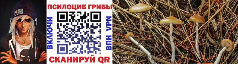 Псилоцибиновые грибы MAGIC MUSHROOMS  Рыбное 