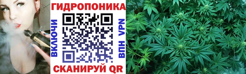 где найти наркотики  Рыбное  Шишки марихуана марихуана 